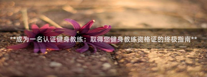 龙8国际long88