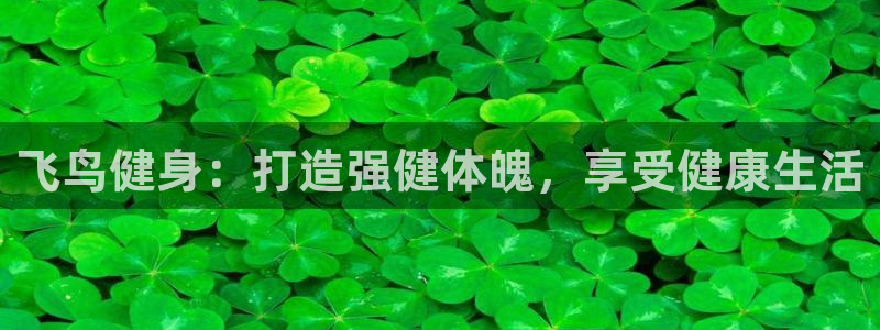 龙八国际城