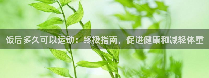 龙八国际娱乐老板是谁