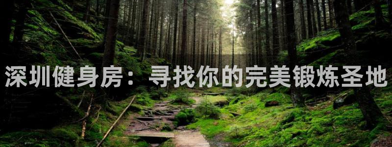 龙8国际游资如何