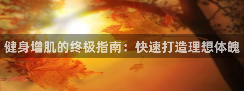 龙8国际2023官方版fxzls安卓-1.2.9 -安卓
