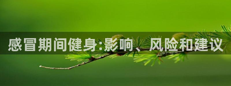 龙八国际官网下载