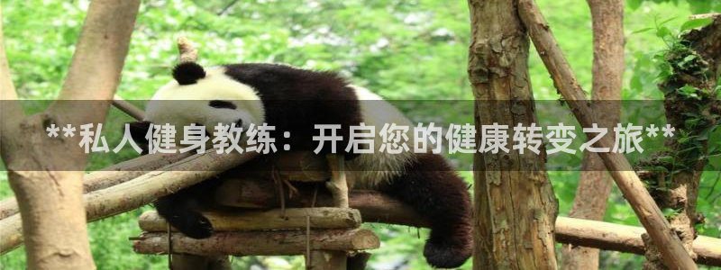 龙8国际pt网址官方