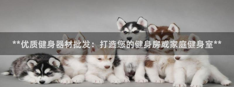 龙8国际-我的