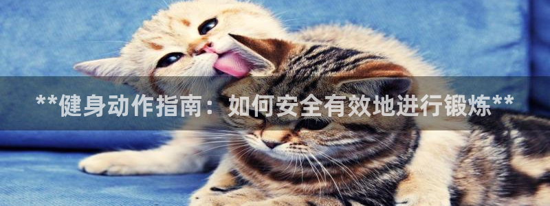 龙8国际官网版最新版下载