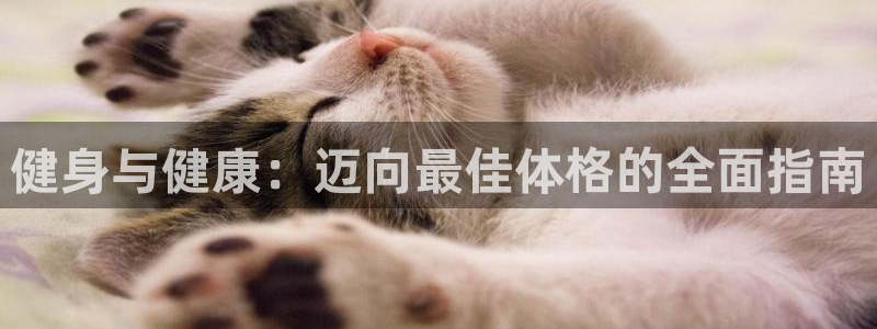 龙八国际首页