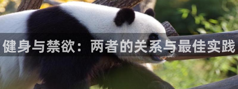 龙8国际害死多少人