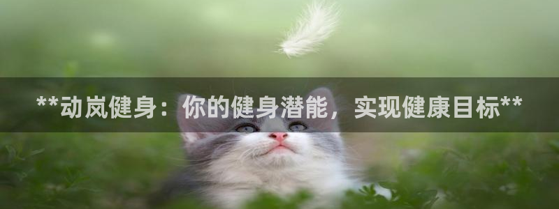龙8国际游戏官网