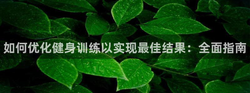 龙8国际网址多少