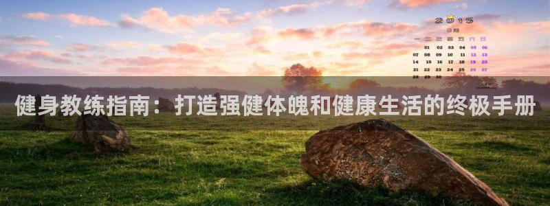 龙8国际官方网