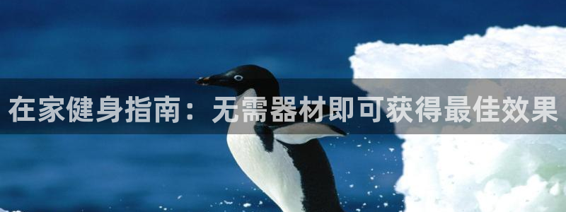 龙8国际官网进入
