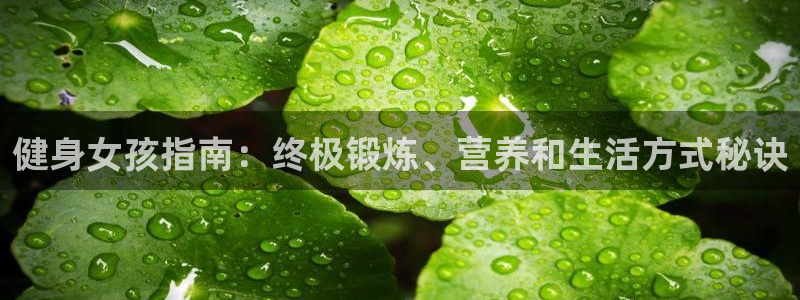 龙8国际官网版