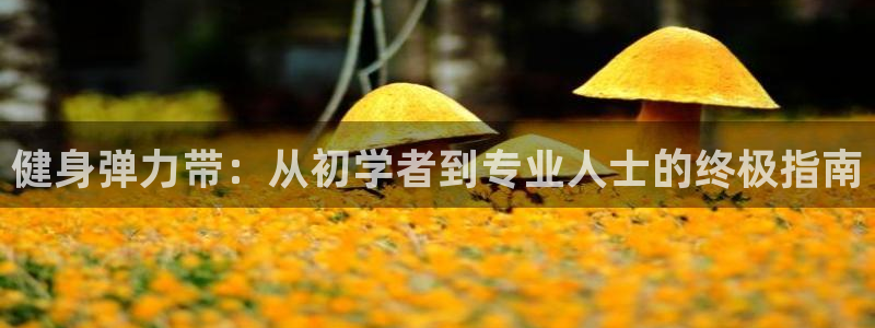 龙8国际黑吗