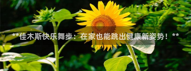 下载龙八国际官网