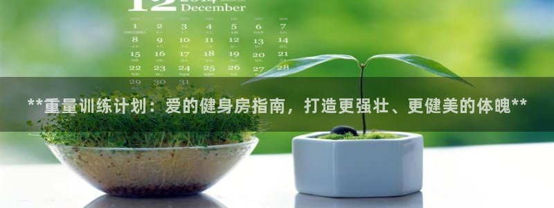 龙8国际pt官网