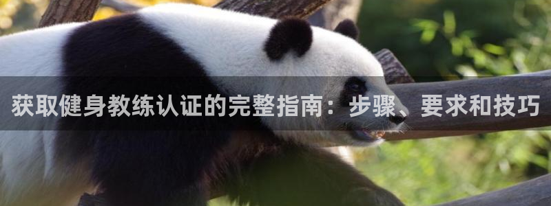 龙8国际中国