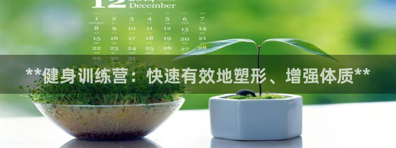 龙8国际游戏官网