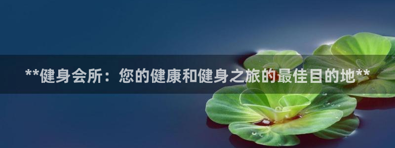 龙8国际手机版官网