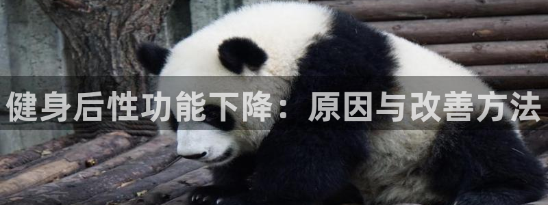 龙8国际官网官方版fxzls天地手游 -kc -安卓