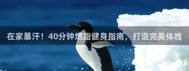 龙8国际官网进入