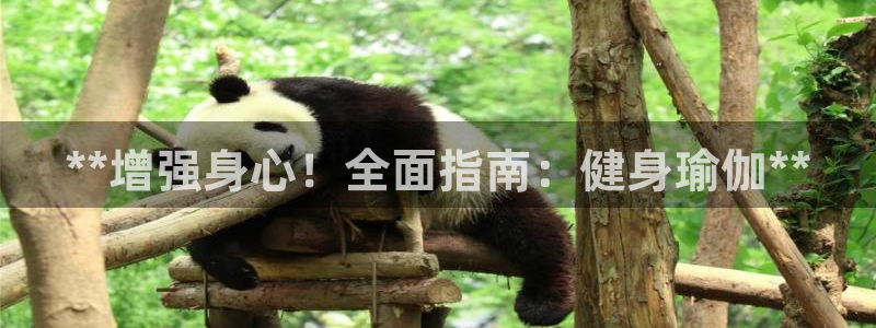 龙8国际头号玩家是谁