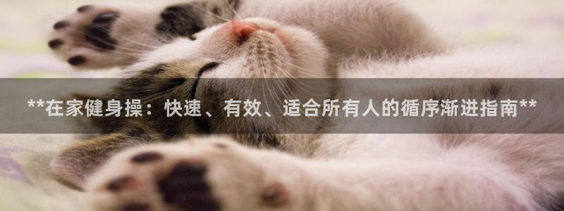 龙8国际登录地址