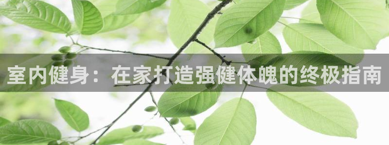 国际龙8官网pt客户端