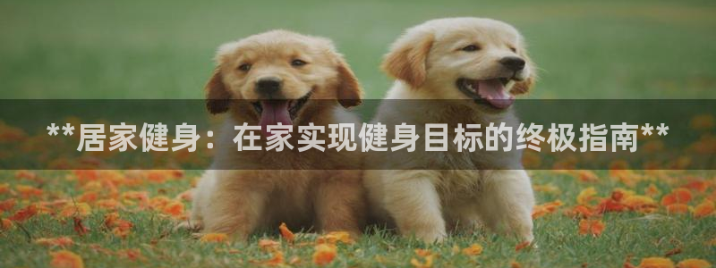 龙8国际电玩城