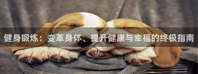 龙8国际官方网址下载