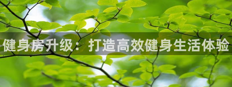 龙8国际网址多少