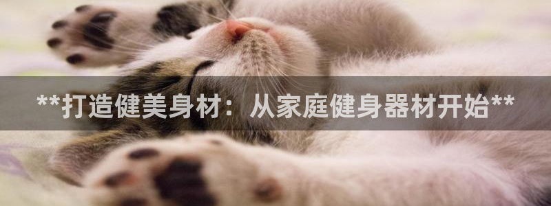 龙八国际网页
