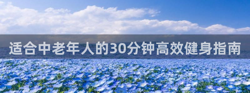 龙8国际pt