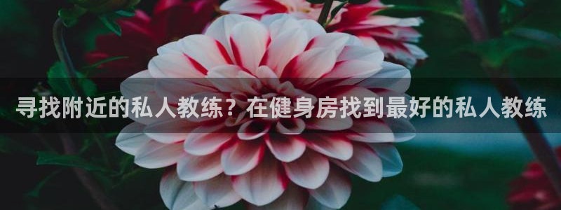 龙8国际官网版手机版
