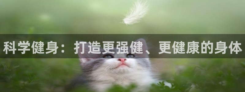 龙8国际官网版手机版