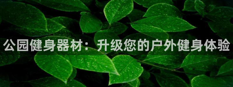 龙8官网手机登入口
