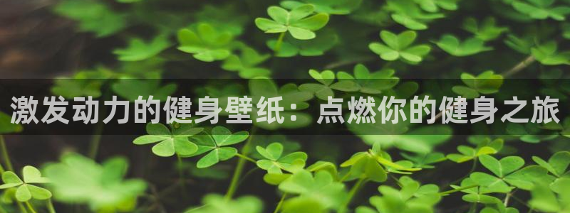 龙8游戏官方进入