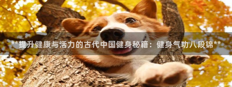 龙8国际免费试玩