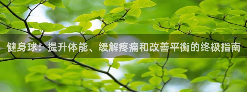 龙8国际的官方网站