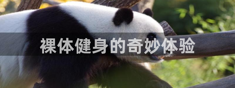 龙8国际app下载客户端