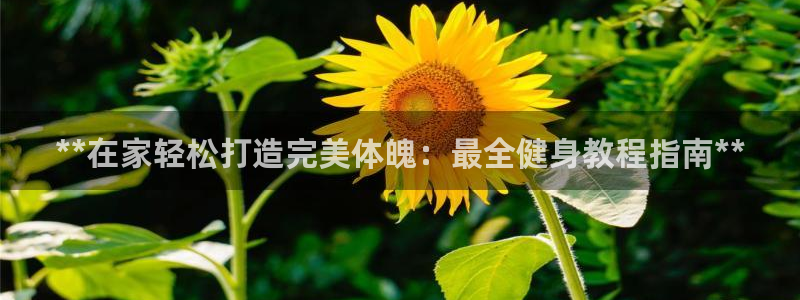 开户送88元体验金网站