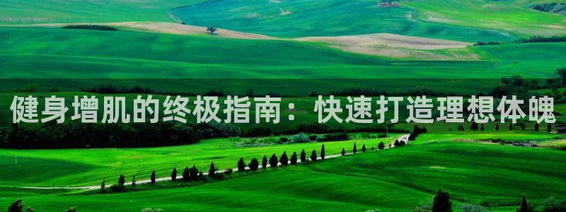 龙8国际网址