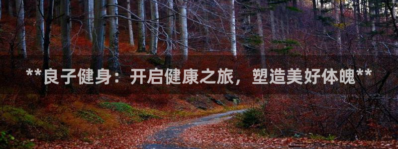 龙8国际提现