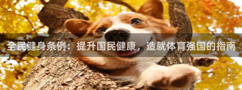 龙8头号玩家游戏官方进入