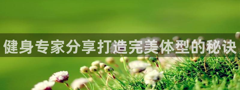 龙8国际的官网
