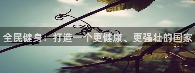 龙8国际官网版