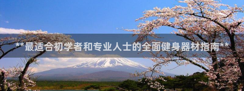 龙8国际官网版最新版下载