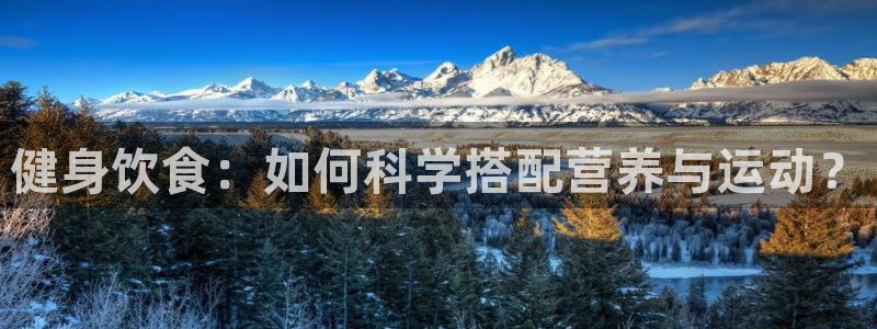 龙8国际官方网手机版下载安装