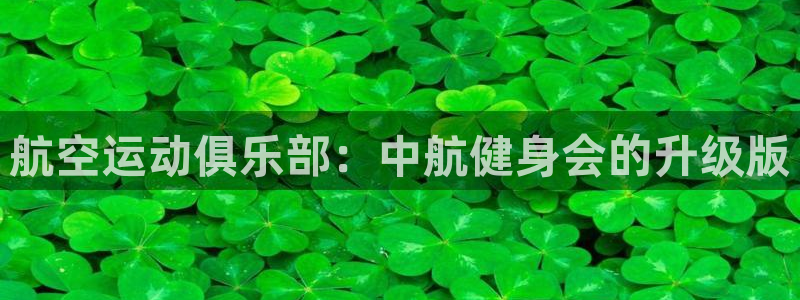 龙8国际手机网页版