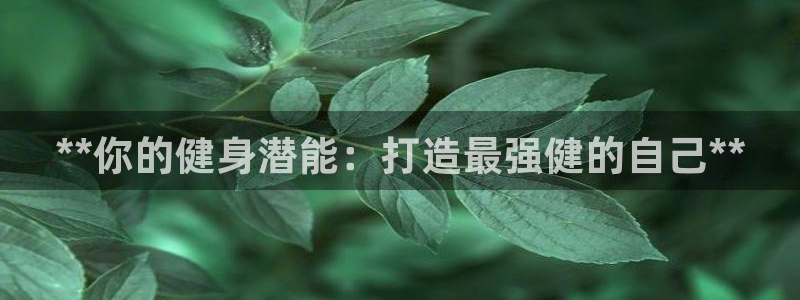 龙8国际官网正版
