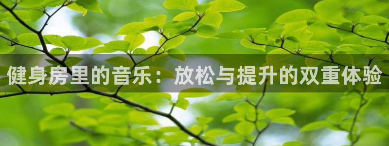 龙8国际.com